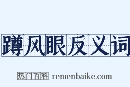蹲风眼反义词是什么意思的图片